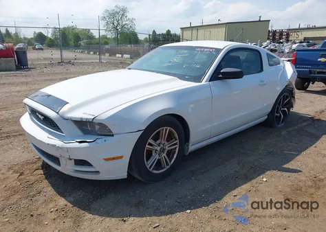 2014 Ford Mustang V6 z USA, uszkodzony, nr VIN 1ZVBP8AM0E5217012